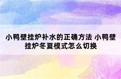 小鸭壁挂炉补水的正确方法 小鸭壁挂炉冬夏模式怎么切换